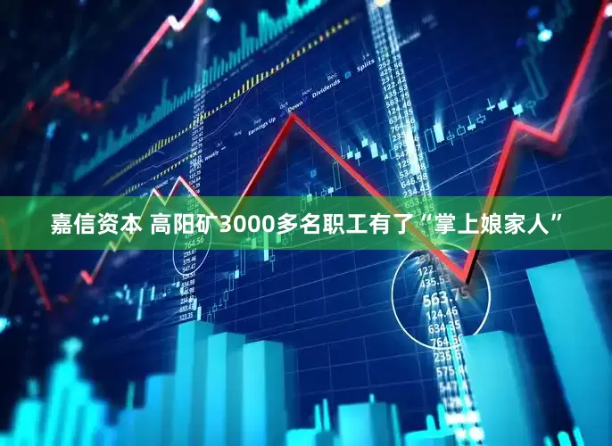 嘉信资本 高阳矿3000多名职工有了“掌上娘家人”