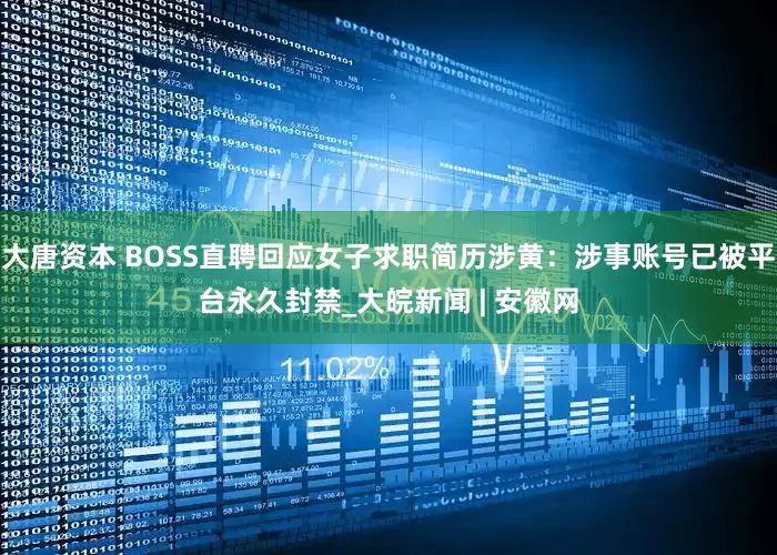 大唐资本 BOSS直聘回应女子求职简历涉黄：涉事账号已被平台永久封禁_大皖新闻 | 安徽网