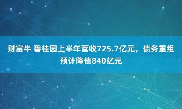 财富牛 碧桂园上半年营收725.7亿元，债务重组预计降债840亿元